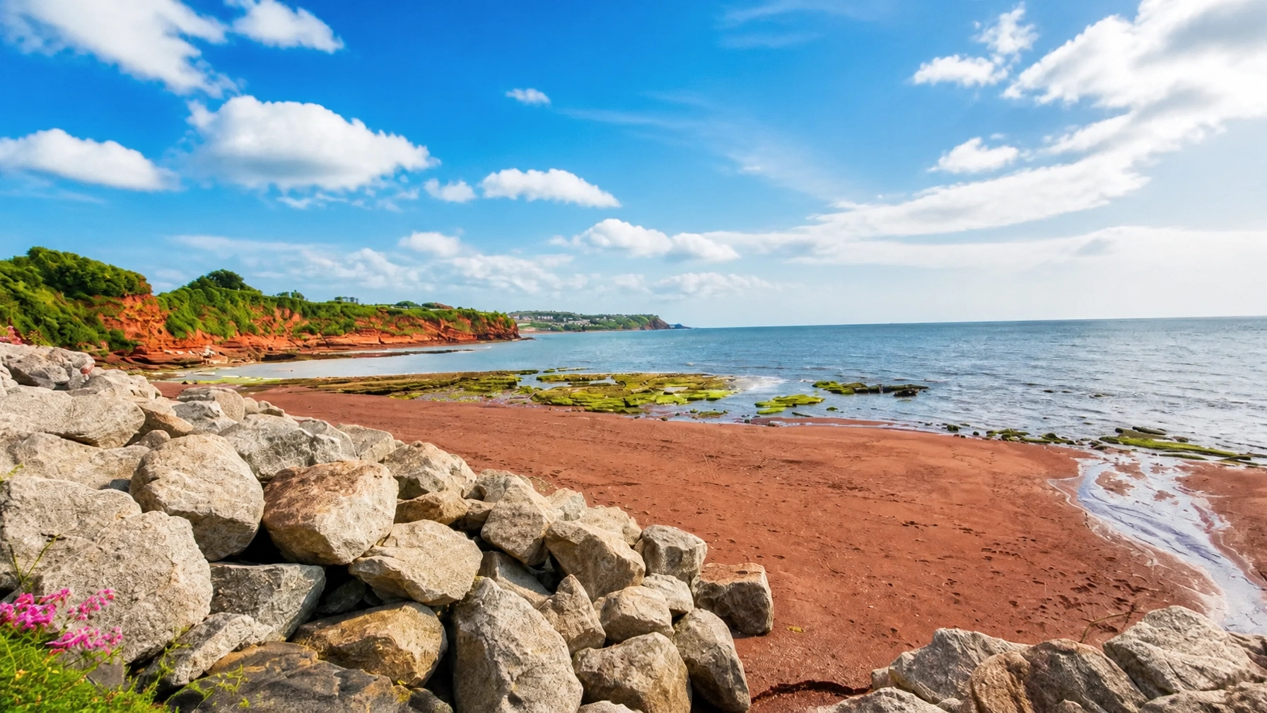 Bright coastal landscape in the Torbay and Teignbridge area